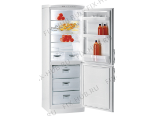 Холодильник Gorenje K33/2STCLB (140032, HZOS3366) - Фото